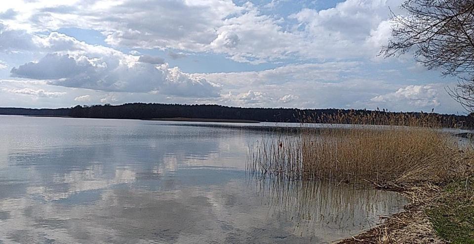 Ferienwohnung Cztery Pory Warmii Pluski Pokoje Do Wynajecia Exterior foto