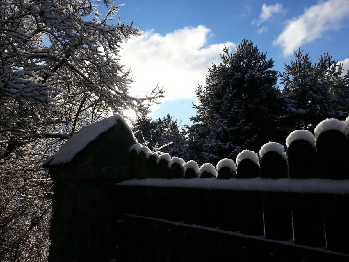 Ferienwohnung Cztery Pory Warmii Pluski Pokoje Do Wynajecia Exterior foto